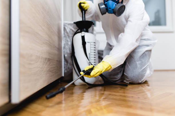 Best Affordable Pest Control Services  in Barnhart, MO