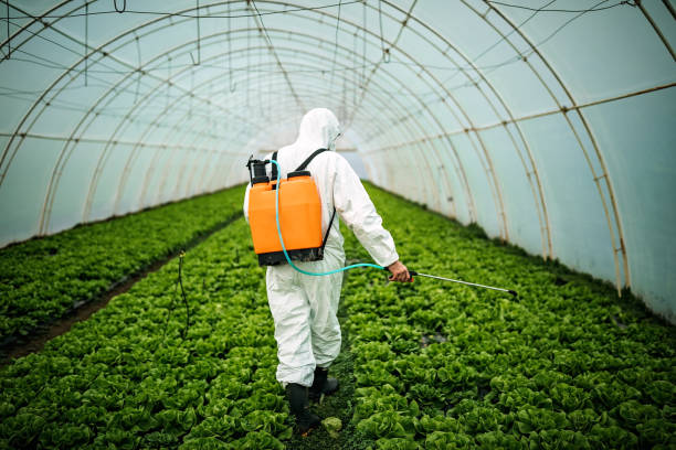 Best Best Pest Control Companies  in Barnhart, MO