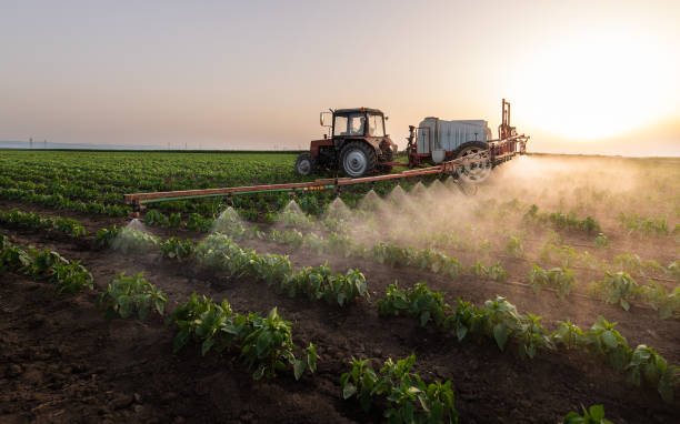 Best Best Pest Control Companies  in Barnhart, MO
