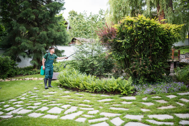 Best Local Pest Control Services  in Barnhart, MO