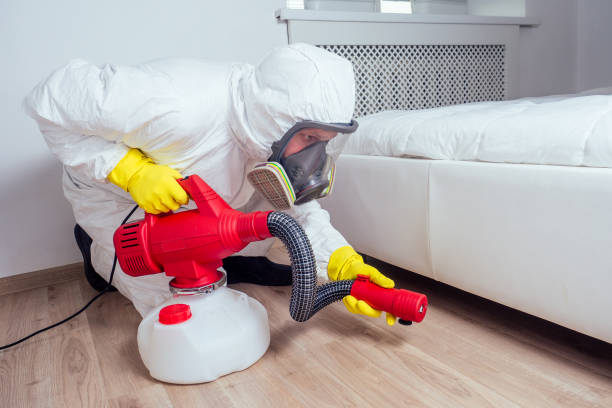 Best Wasp Removal Services  in Barnhart, MO