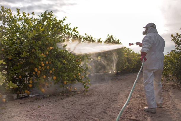 Best Exterminator Services  in Barnhart, MO