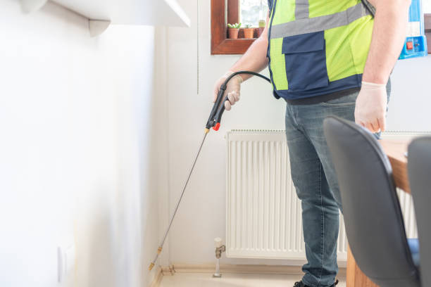 Wasp Removal Services in Barnhart, MO