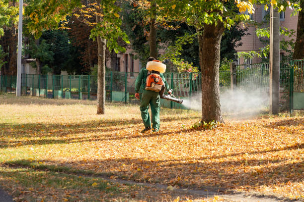 Best Pest Control for Restaurants  in Barnhart, MO