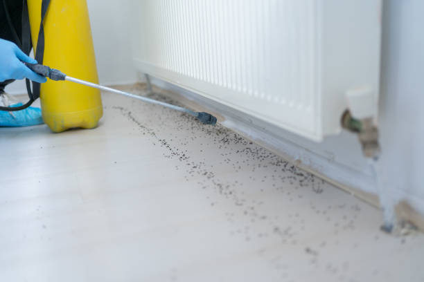 Best Pest Prevention Services  in Barnhart, MO